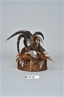帶羽頭冠藏品圖，第10張